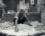 Foto Marijan Močivnik